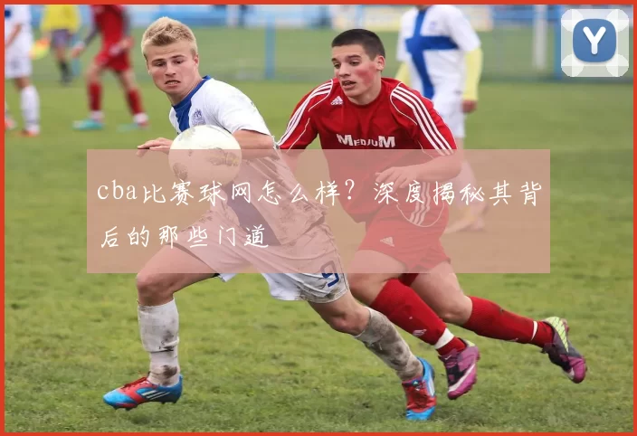 cba比赛球网怎么样？深度揭秘其背后的那些门道